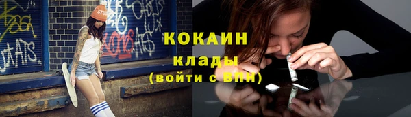 прущие грибы Гусев