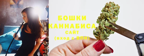 прущие грибы Гусев
