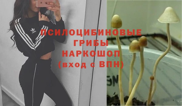 гидропоника Гусь-Хрустальный