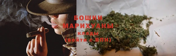 прущие грибы Гусев