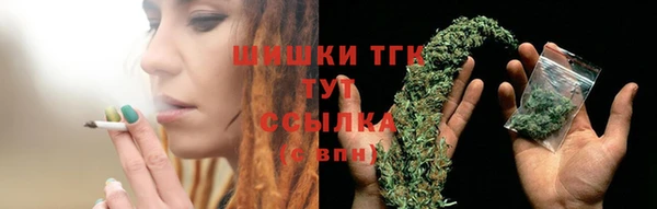 прущие грибы Гусев