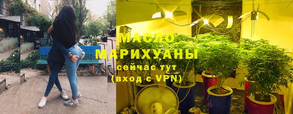 прущие грибы Гусев