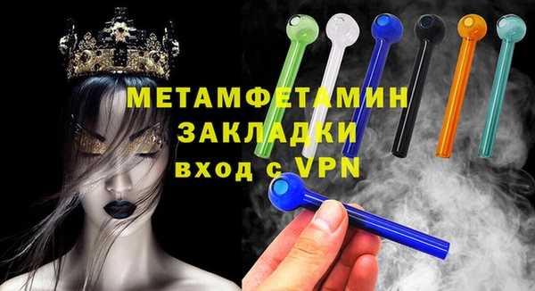 прущие грибы Гусев