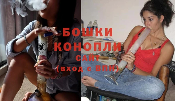 прущие грибы Гусев