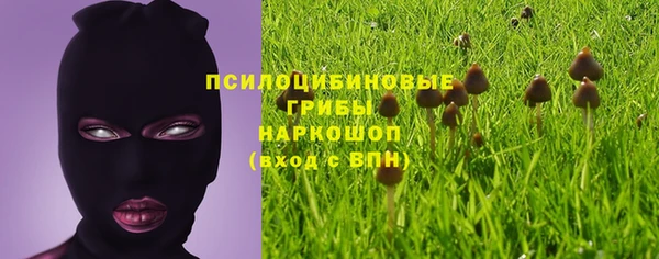 гидропоника Гусь-Хрустальный