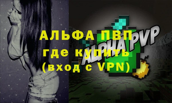 прущие грибы Гусев